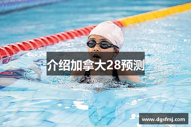 介绍加拿大28预测